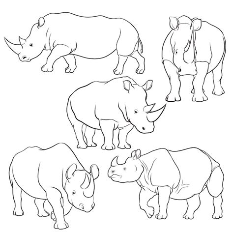 Premium Vector Set Of Hand Drawn Rhino