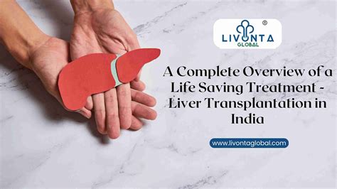 A Complete Overview Of A Life Saving Treatment Liver Transplantation In India Livonta Global