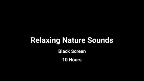 Relaxing Nature Sounds Water Stream Birds Singing Calm Sound 10