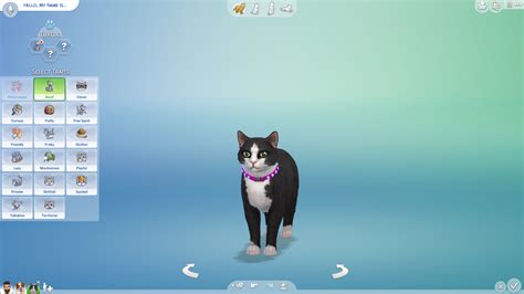 The Sims 4 Cats & Dogs: All of the New Cats & Dogs Traits and Aspiration