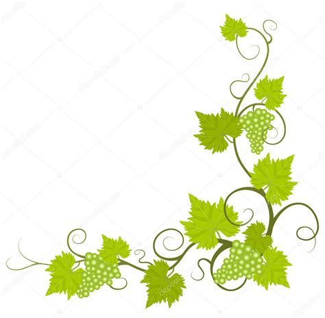 Grape Vine Border Vector at Vectorified.com | Collection of Grape Vine ...