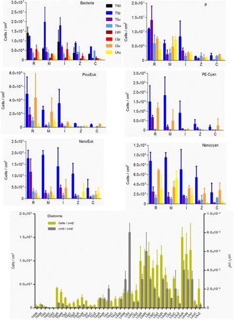 densities  biofilm microorganisms colonizing  surfaces