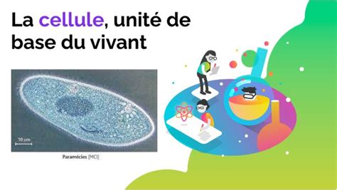 Chap 1 La cellule unité des êtres vivants