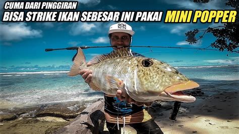 CASTING PINGGIRAN PAKAI MINI POPPER Langsung Di Sikat Ikan Besar Part