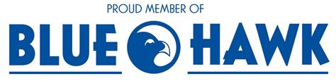 Blue Hawk Logo LogoDix