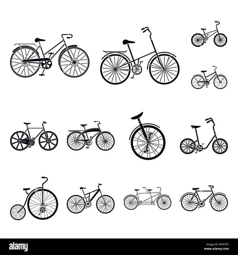 Various Bicycles Black Icons In Set Collection For Design The Type Of