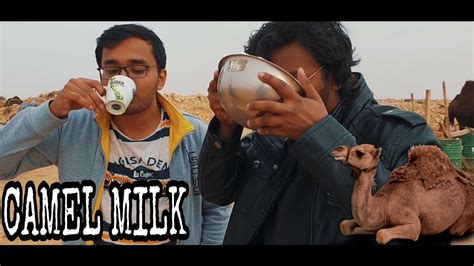 Camel Milk In Riyadh Saudi Arabia Youtube