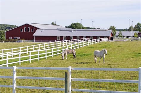 5 Ways to Improve Your Horse Property - Deer Creek Structures