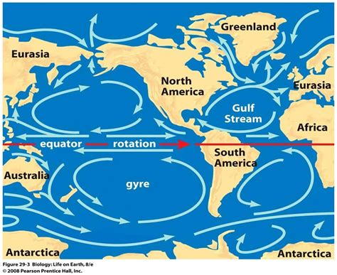 Southern Hemisphere Gyres Surface Ocean Circulations Or Gyres Move Counterclockwise In Response