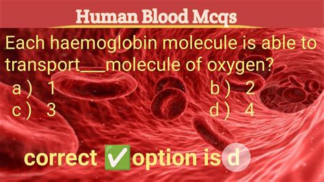 Human Blood Mcqs Biology Mcqs Youtube