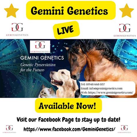 Pet Cloning Genetic Preservation By Gemini Genetics