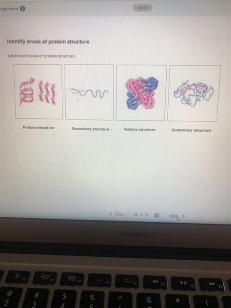 Solved ssignment Identify levels of protein structure Label | Chegg.com 