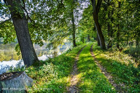 Park Krajobrazowy W Bukowcu Zwiedzanie Atrakcje Dojazd Zdj Cia