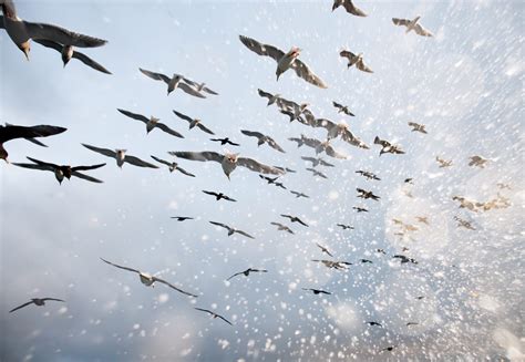 Corey Arnold's Photos Of Crab Fishing On The Bering Sea - Business Insider