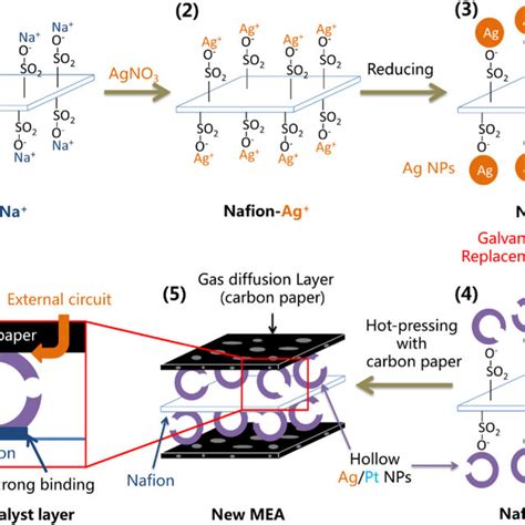 The Schematic Diagram For Fabricating Nafion Ag Pt Membrane And New MEA