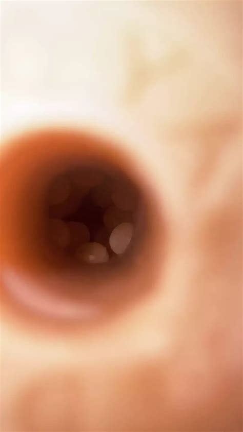 Fleshlight Milking Inside View American Gay Sleeve Masturbation Porn XHamster