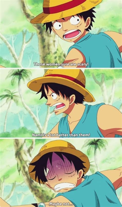 Luffy's Adventure: A One Piece Character's Reaction