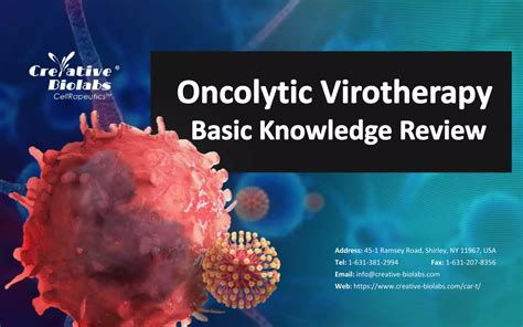 Oncolytic Virotherapy Basic Knowledge Review Ceative Biolabs Ppt