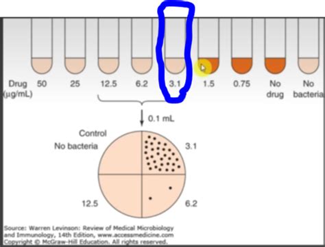 Antibiotic Resistance Tbl Flashcards Quizlet