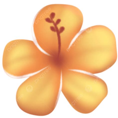 Clipart De Hibisco Laranja Png Flor De Laranjeira Hibiscus Flor Imagem Png E Psd Para