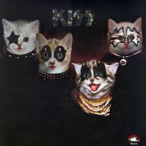 Classic Album Covers Reimagined With Kittens Design You Trust