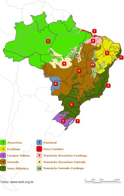 Geografia E Geopol Tica Mapa Biomas Brasileiros