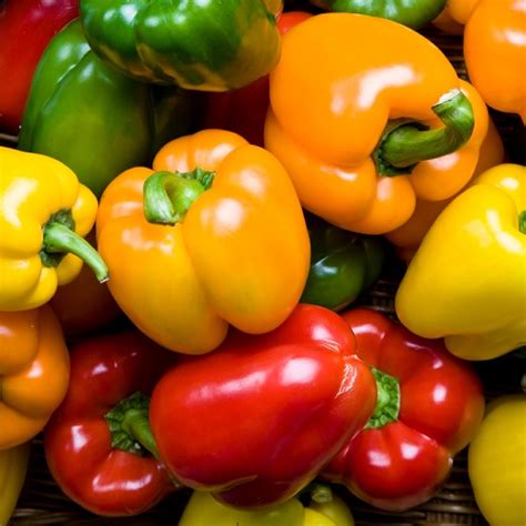 Bell Peppers/pound – Country Gardens Farm