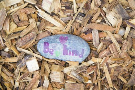 Kindness Rocks The Lower School Micds