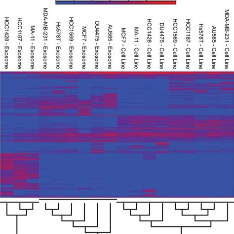 Hierarchical Clustering Of Breast Cancer Cell Lines And Corresponding