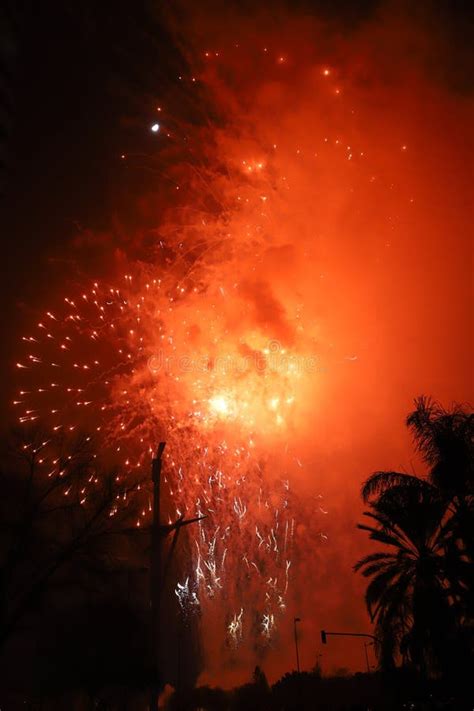 Fireworks Of Different Colors And Shapes Exploding During Valencia