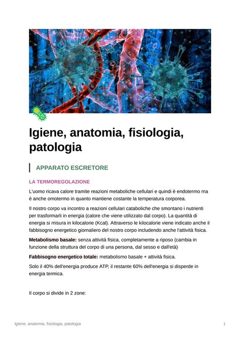 Solution Igiene Anatomia Fisiologia Patologia Studypool