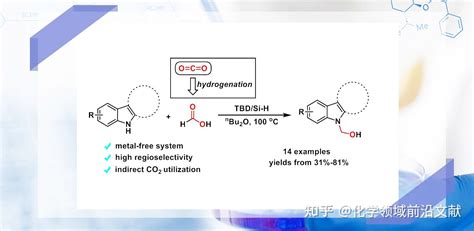 南开大学何良年教授课题组JOCTBD促进甲酸参与的吲哚N 羟甲基化反应一种间接利用CO2的途径 知乎