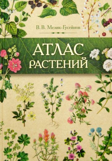 Книга: "Атлас растений. Растения в народной медицине России и ...