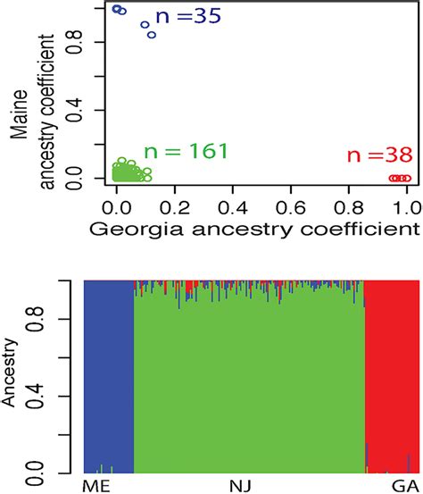 Admixture Analysis On Population Snp Data Set A Plot Of