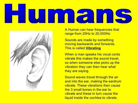 Animal Hearing Range