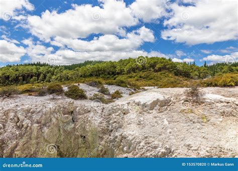 Actividad Geot Rmica En Rotorua En Nueva Zelanda Foto De Archivo