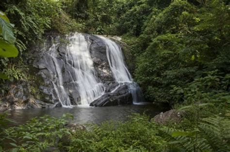 Au départ de São Paulo Visite privée de la forêt et des vallées de l