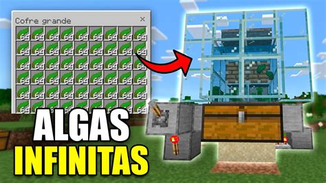 Como Hacer Una Granja De Algas A Ticks Minecraft Bedrock Youtube