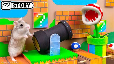 Hamster Escapes The Super Mario Maze Homura Ham Youtube