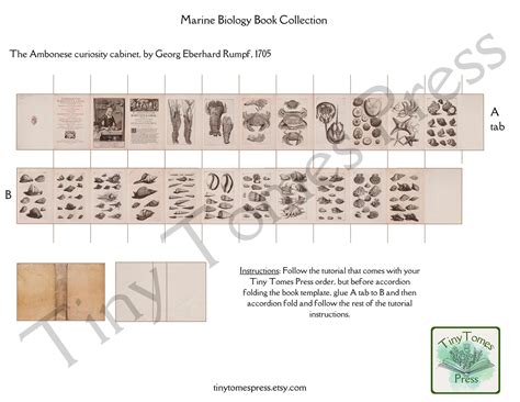 Miniature Marine Biology Book Collection Digital Download Set of 3 1:12