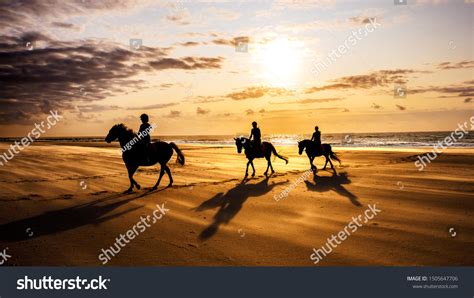 15,154 Beach horse ride Images, Stock Photos & Vectors | Shutterstock