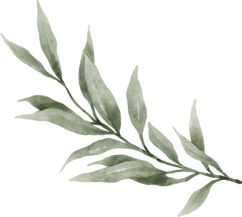 Greenery Leaf Watercolor Png