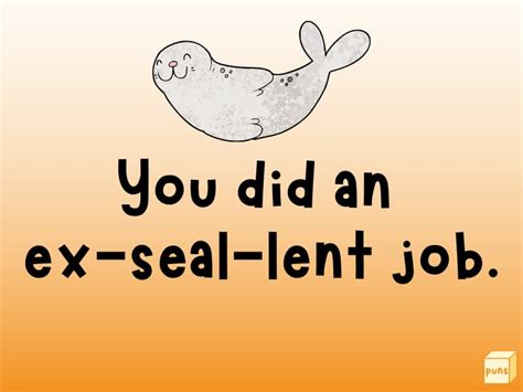 50 Hilarious Seal Puns That Seal The Laughter Deal Box Of Puns