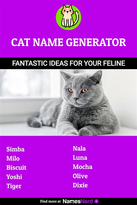 Cat Name Generator Fantastic Ideas For Your Feline In 2024 Cat