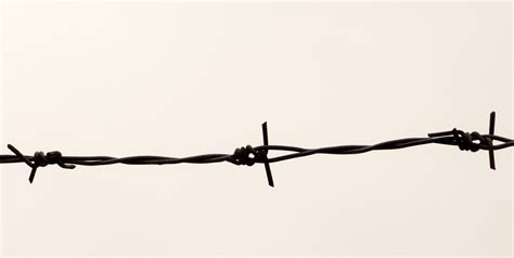 Barbed Wire | Copyright-free photo (by M. Vorel) | LibreShot