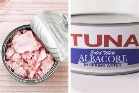 Skipjack Vs Albacore Canned Tuna Which One Is Better Weigh School