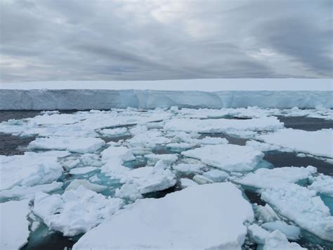 Antarktis Elephant Island Weddellmeer S Dpolarkreis Ms Plancius