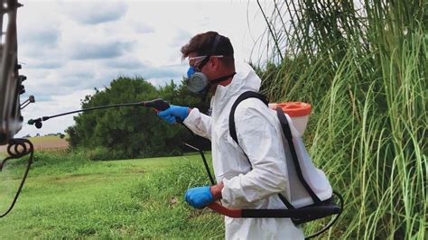 Que químicos se utilizan para fumigar Descubre los químicos