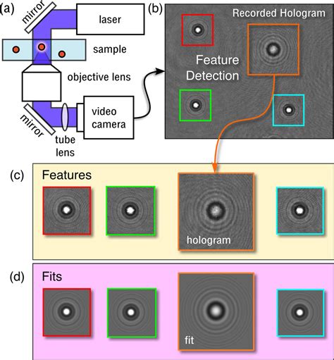 Schematic Representation Of Lorenz Mie Microscopy A A Fiber Coupled