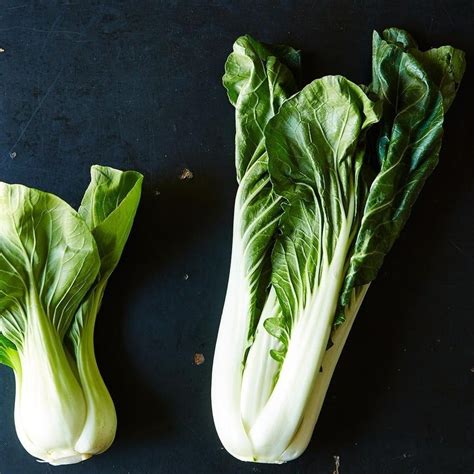 Cải thìa - Cải bẹ trắng - Bok choy 500g - Santorino